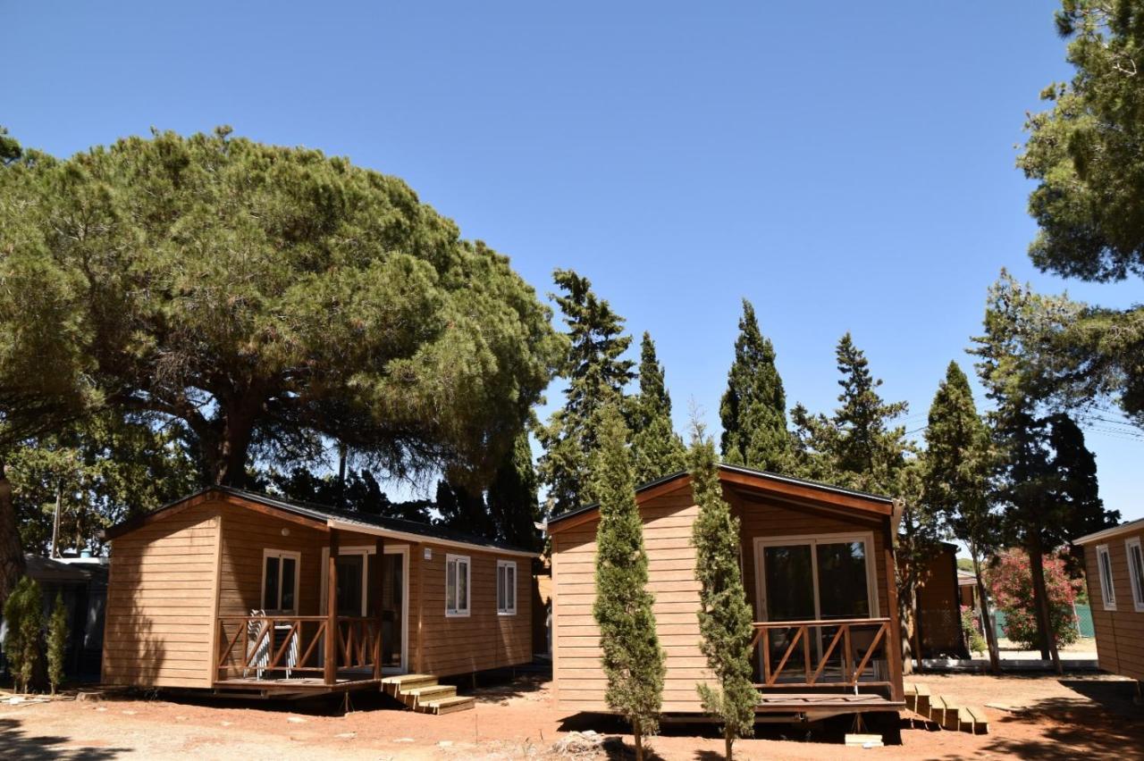 Taiga Conil Hotel Conil De La Frontera Luaran gambar
